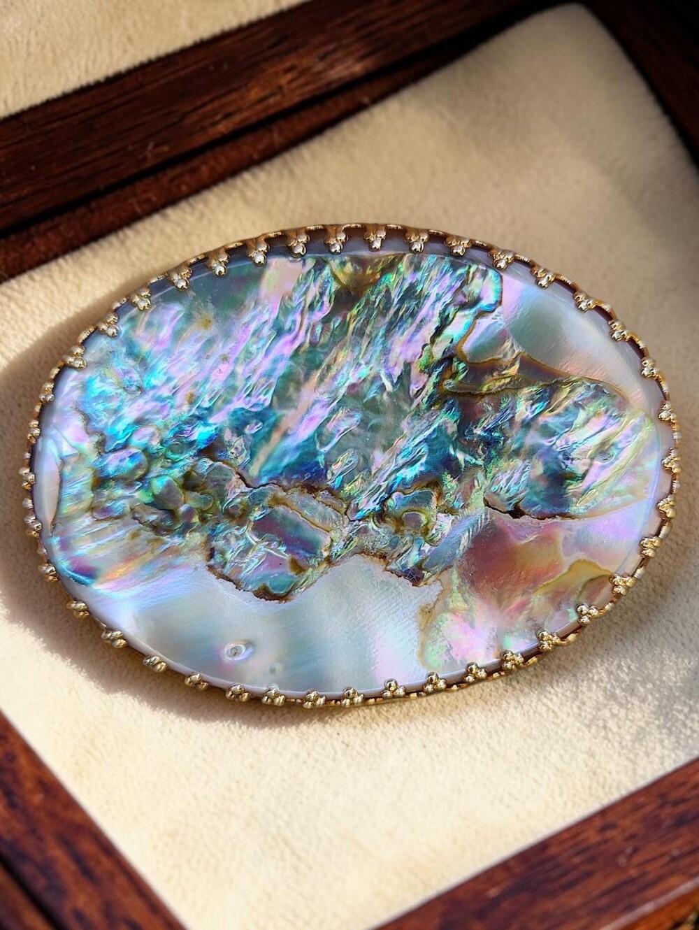 Vintage 1960s Signed Napier Oval Abalone Runway Couture Statement Brooch